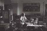 Saxo Taxo — image 4